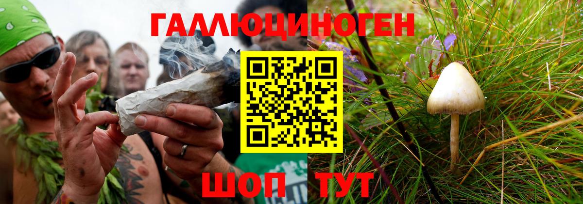 даркнет сайт  Вход с VPN  Галлюциногенные грибы Psilocybine cubensis  Миллерово  Галлюциногенные грибы GOLDEN TEACHER 