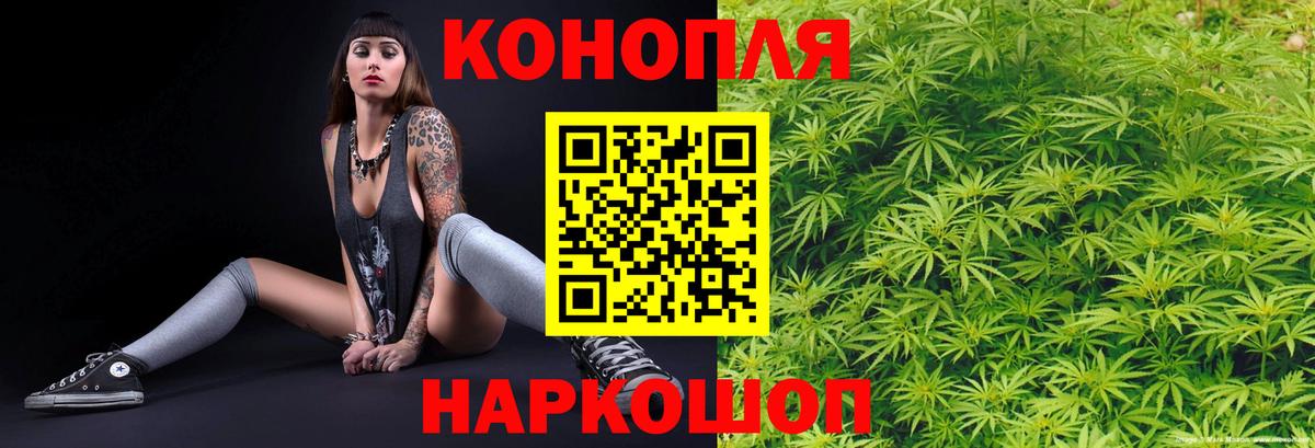 Шишки марихуана конопля Миллерово
